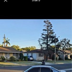 Meet your Posher, Armando